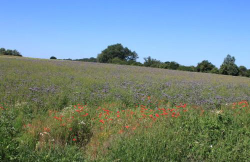 Feriendomizil Lotta und Michel - Photo 5