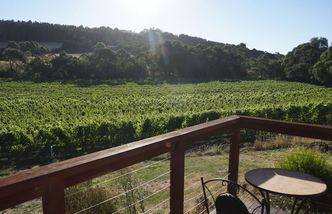 Gisborne Peak Winery Cottages - Foto 54