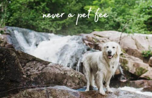 S'More To Love - Foto 11