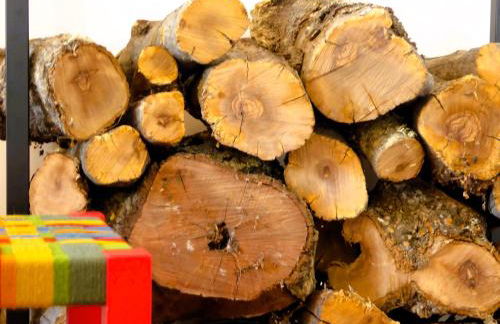 Monte do Alento - Castro da Cola - Foto 31