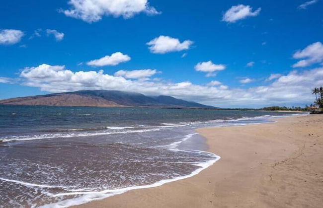 Airy Coastal Dream Vistas - Photo 34