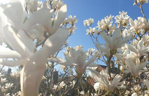 Island Retreat with HotTub - Foto 22