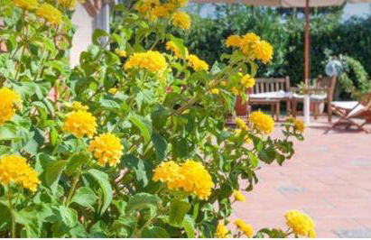 Villa Betty - Foto 11