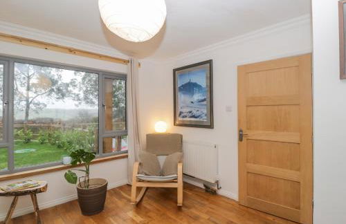 Little Foxes - Photo 8