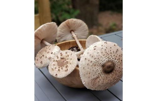 Holiday home under the trees - Photo 18