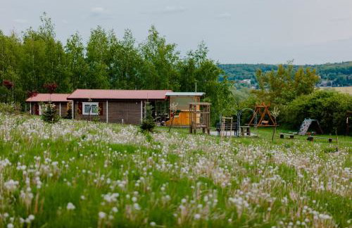 Domki na Górniej Łące - Dwa Wróble - Foto 37