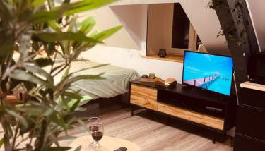 L' URBAN Jungle - Evasion en centre-ville - Foto 4