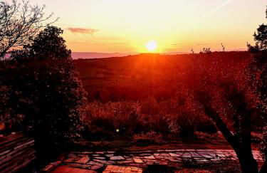 AgriHouse Orvieto - Foto 24