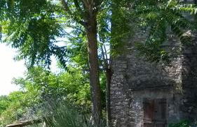 Ca' Rosmunda - Photo 6