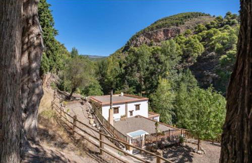 Molino del Nacimiento - Foto 9