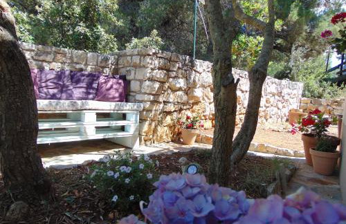 Apartments FRAGOLINA - Photo 39