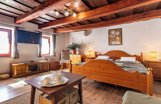 The Bird of Happiness-heaven for Dogs - Foto 8