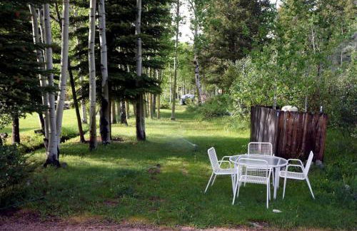 Rustic Cabin Rental with Mountain Views Located in the Gorgeous Gunnison National Forest, Colorado - Foto 9