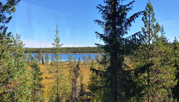 Vistas desde la habitación