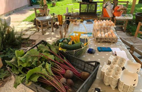 Pecore Ribelli - Photo 24