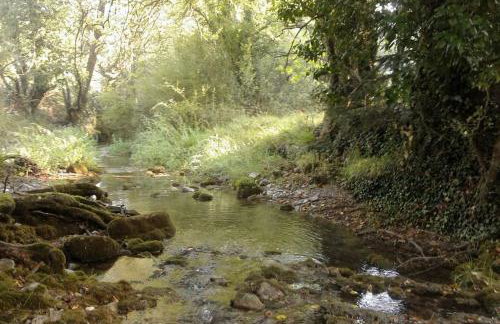 Wood Cabins by the River - for Nature Lovers - Photo 45