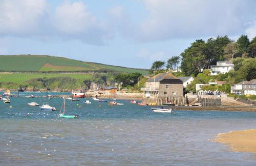 Oystercatcher, Pityme - Foto 19