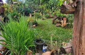 Diamantina, Curralinho Extração - Foto 72