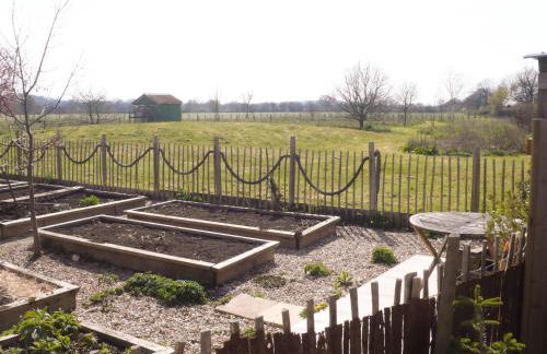 Tiny Willow - Foto 20