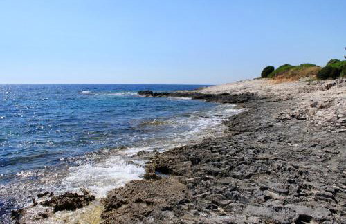 Secluded fisherman's cottage Cove Ripisce, Dugi otok - 394 - Foto 6
