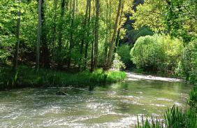 Casa Rural Camino de la Fuente - Foto 48