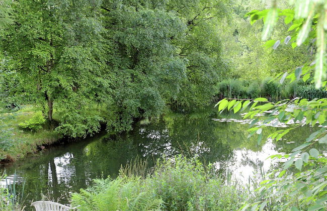 Beautiful and Cosy Apartment in a Wooded and Mostly Quite Rustic Ambience - Photo 55