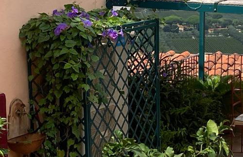 CuccurucuMare- suite apartment - Photo 32