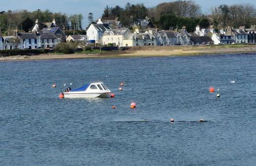 Stunning Caravan Whithorn3 - Foto 16