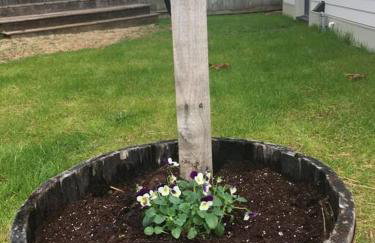 Cozy Loft - Steps to 12th South and Belmont - Foto 11