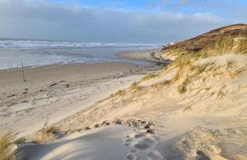 Le cottage sauvage - Foto 17