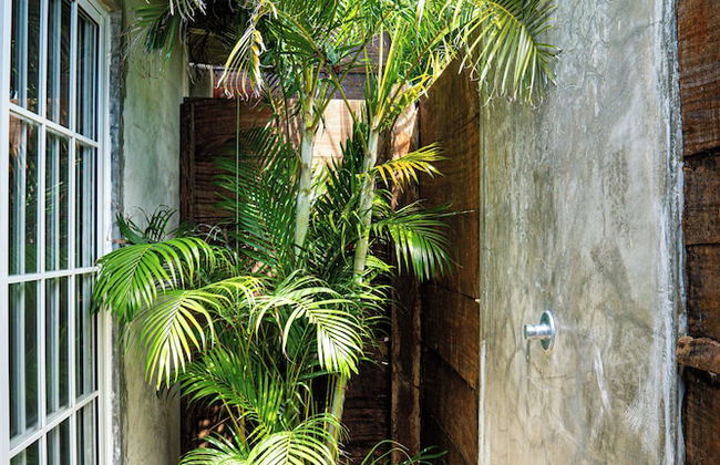 La Maracuyá - Photo 21