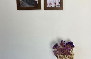 Casas Cor de Rosa - Foto 46