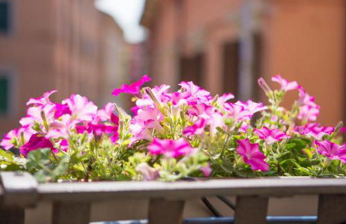 Lady Capulet Apartments - Photo 72