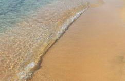 Is candelaus - Foto 31