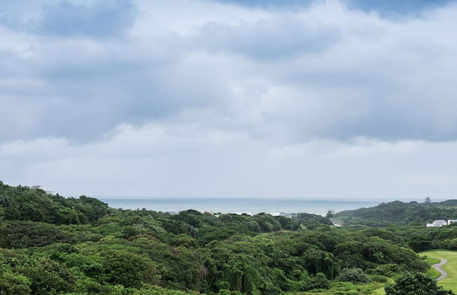 Apartments on The Eighteenth - Photo 44