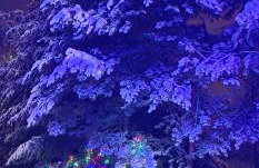 Apartament u Joli - Foto 27