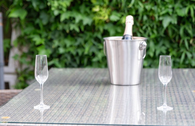 Kegelrobbe - Foto 38