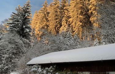 Ferienhaus Rotzinger - Foto 41