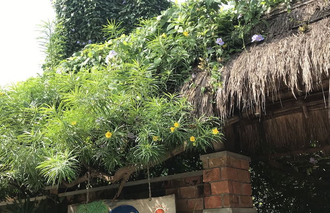 Surf N Sun - Foto 24