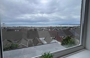 The 145 house in Swansea city centre, Train, Beach, Mumbles, Gower - Foto 9