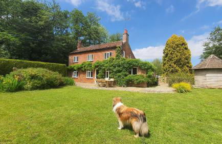 Wherry Cottage in Irstead on the Norfolk Broads - Foto 29