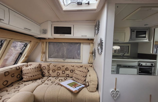 Glamping With Llamas - Foto 2