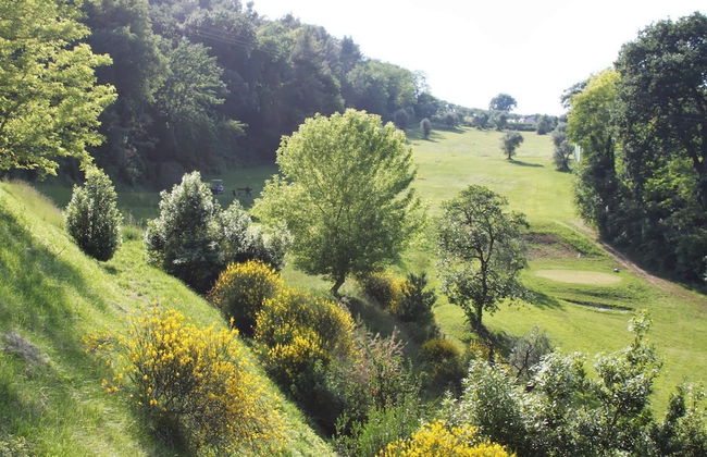 Castello Montegiove - Foto 76