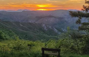 La Mimosa - Photo 32