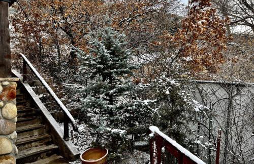 Million Dollar Castle Walk to downtown Glenwood and HotSprings - Foto 71