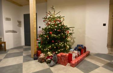 Grudza83 Bikepoint - Foto 9