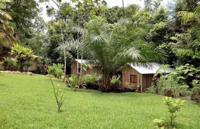 Citronela Lodge Corcovado - Foto 38