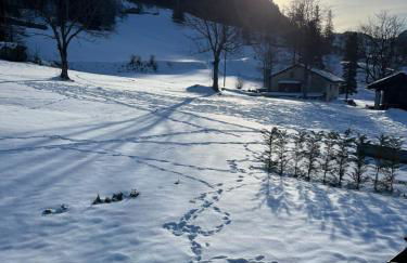 Flora Alpina apartments - Residenza Bieltschocke - Foto 15