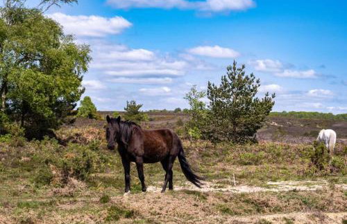 The Old Church - Foto 65