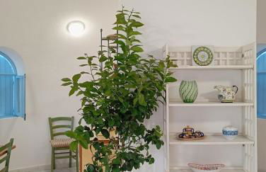 Capobianco wild glamping - Foto 6